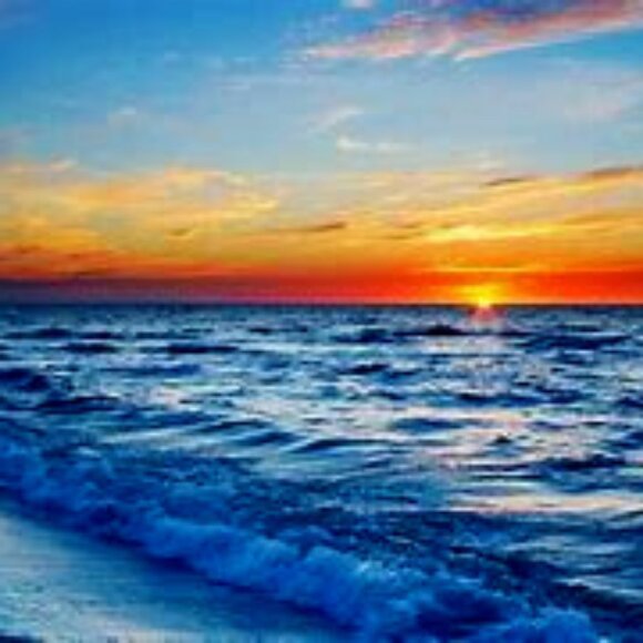 Meet your Posher, Andrea - Picture 1 of 1